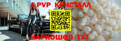 спайс Кингисепп