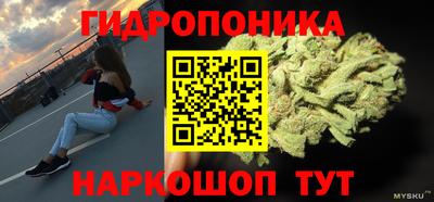 сатива Кинель
