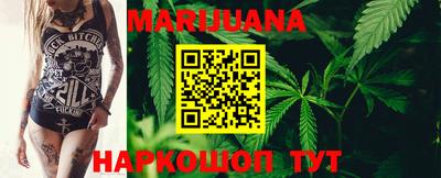 спайс Кингисепп