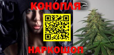 спайс Кингисепп