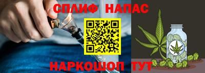 спайс Кингисепп