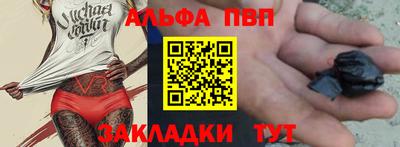 спайс Кингисепп