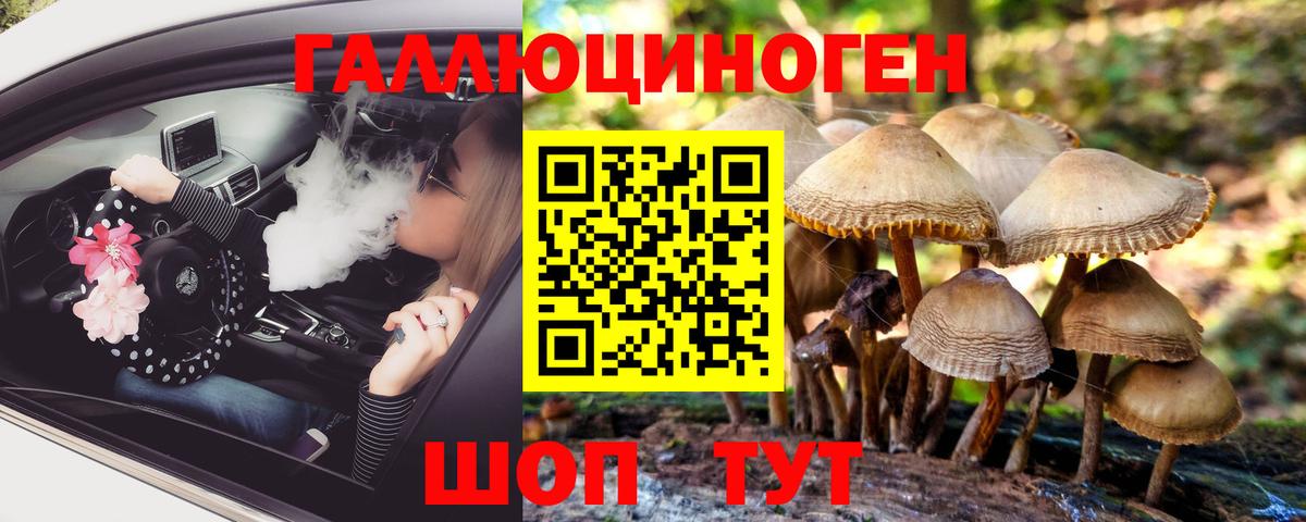 Псилоцибиновые грибы мухоморы Корсаков
