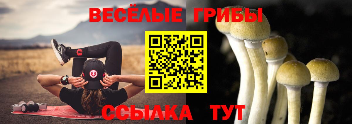 Корсаков  Галлюциногенные грибы прущие грибы  Вход с VPN 